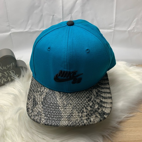 Nike Other - Nike swoosh hat SB